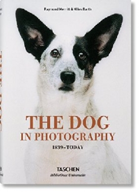 , Merritt Raymond The Dog in Photography 1839-Today 
