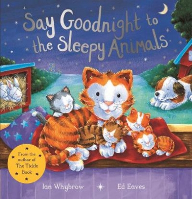 Whybrow Ian Say Goodnight to the Sleepy Animals 