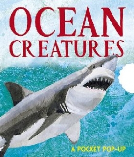 Young Sarah Ocean Creatures: A Pocket Pop-up 