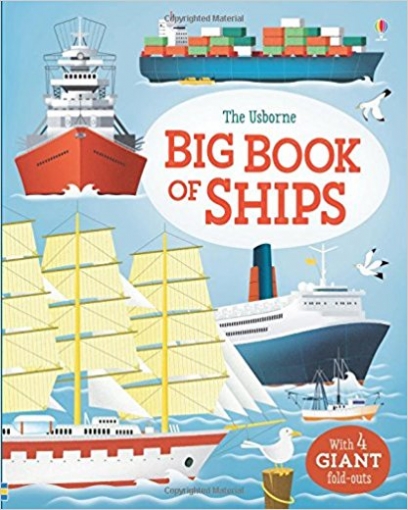 Lacey Minna Big Book of Ships 