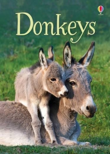 Maclaine James Donkeys 