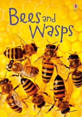 Maclaine James Bees & Wasps 