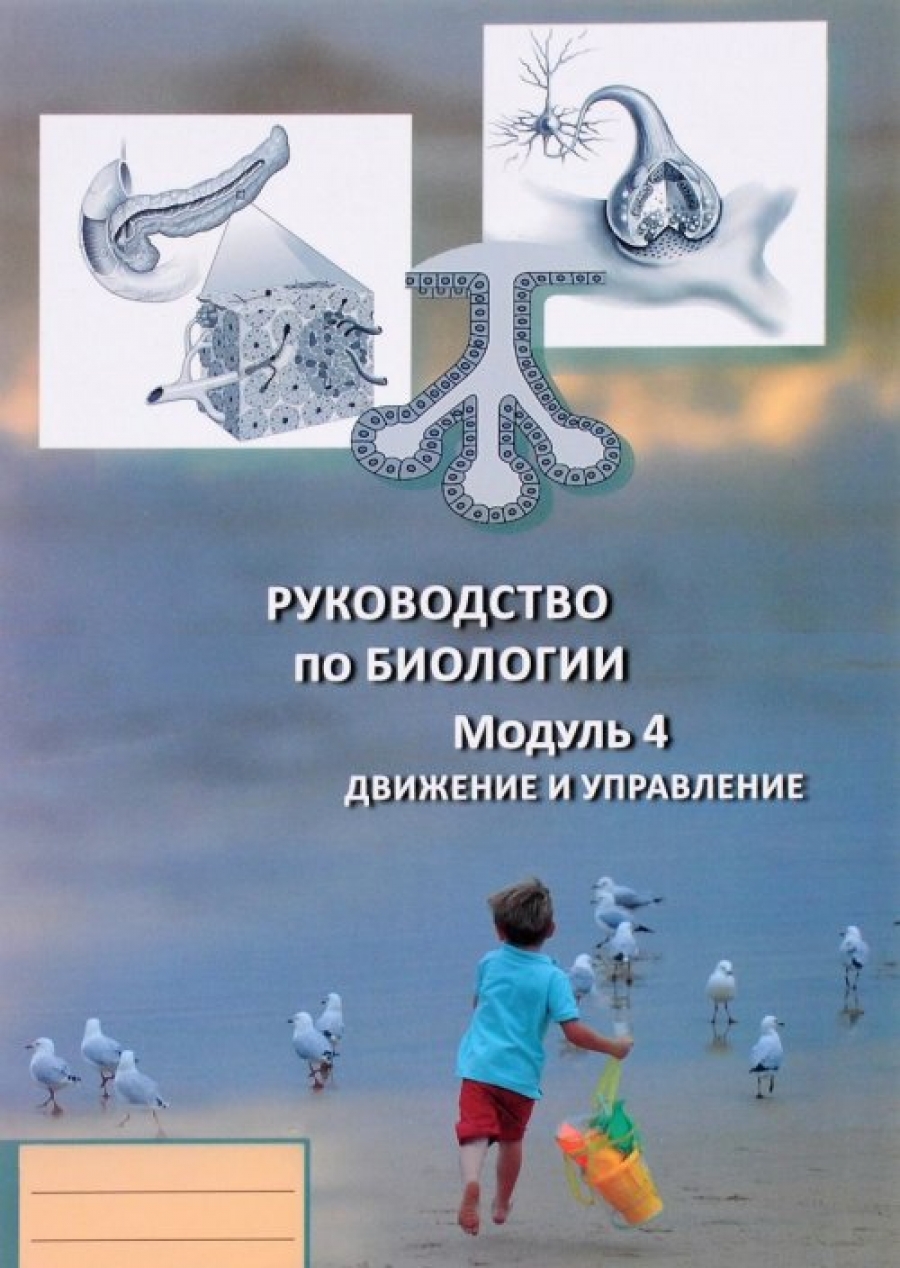 Е Ф Зайцева Книги Купить