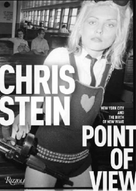 Stein Chris Point of View: Me, New York City, and the Punk Scene 