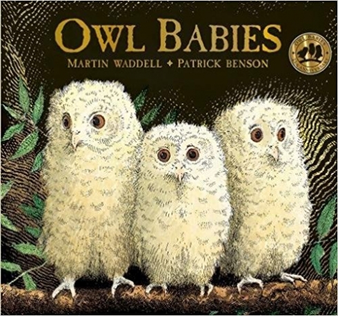 Waddell Martin Owl Babies. Board book 