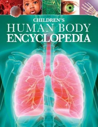 Hibbert Clare Children's Human Body Encyclopedia 
