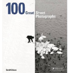 Gibson David - 100 Great Street Photographs 