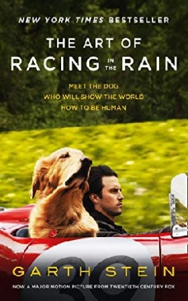 Garth, Stein Art of racing in the rain 