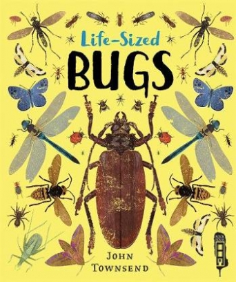 Townsend John Life-Sized Bugs 