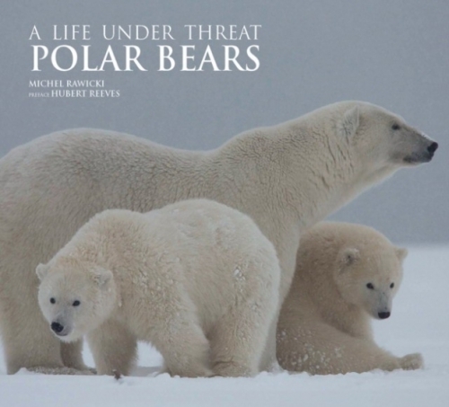 Rawicki Michel Polar Bears: A Life Under Threat 