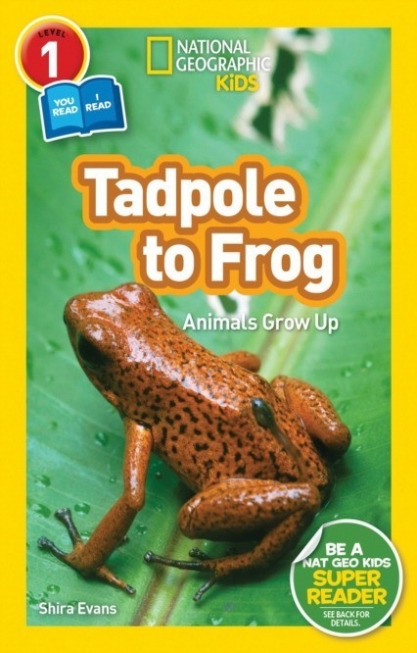 Evans Shira National Geographic Readers: Tadpole to Frog. Level 1 