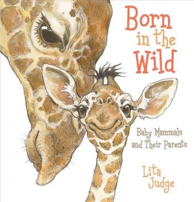 Judge Lita Born in the Wild. Baby Animals and Their Parents 