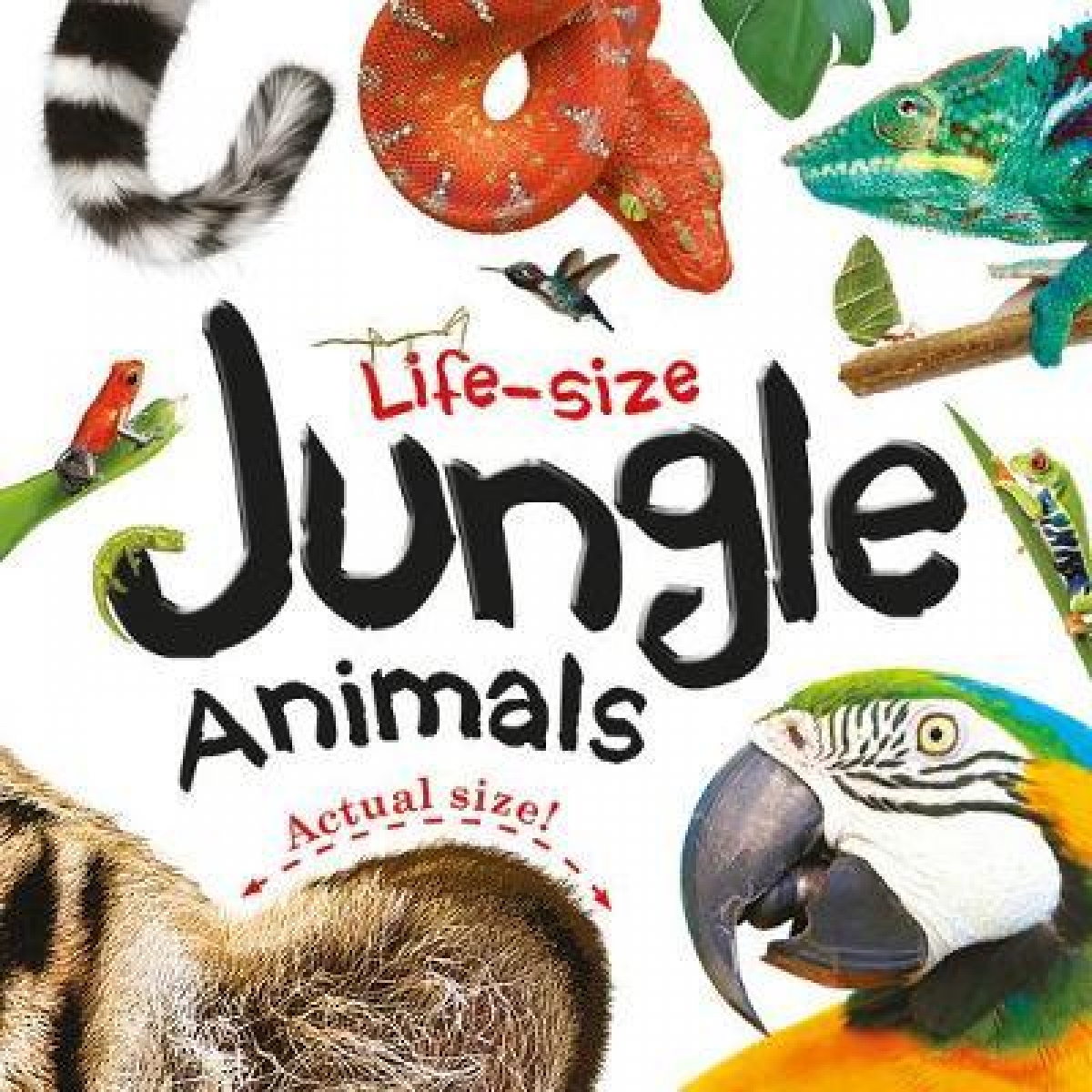 Life-size. Jungle Animals 