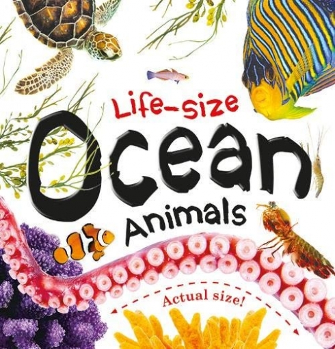 Life-size. Ocean Animals 