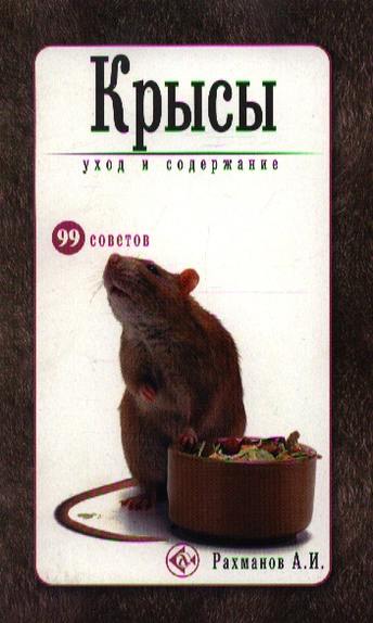Книга крыса люди. Крыса с книгой. Книга крыса в коллективе. Книга как стать крысой на работе. Как быть крысой искусство интриг.