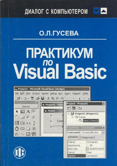   Visual Basic 