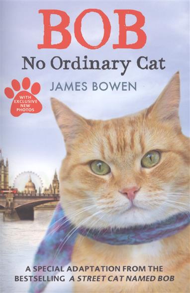 Bowen James Bob : No Ordinary Cat 