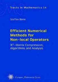 Efficient Numerical Methods for Non-Local Operators 