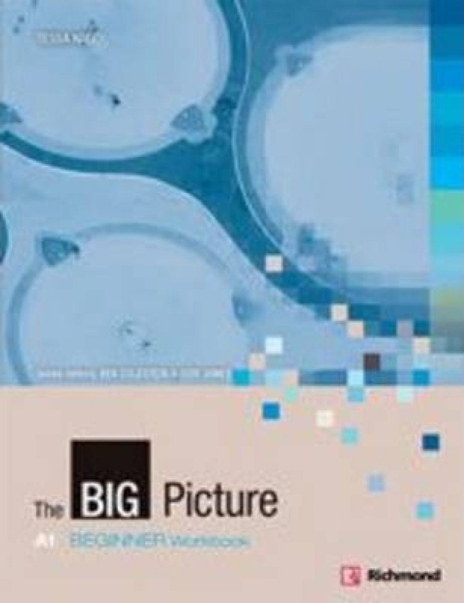 The Big Picture Beginner