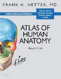 Frank H.N. Atlas of Human Anatomy, 6th Edition 