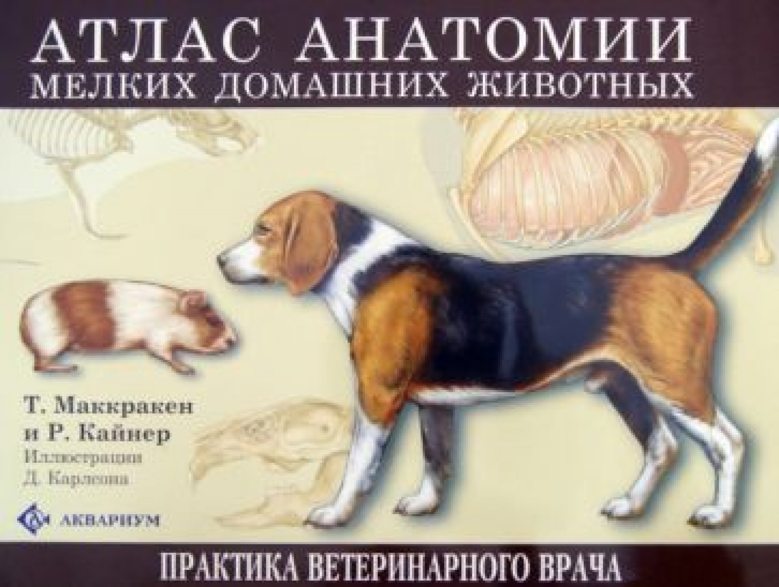 Маккракен Т., Кайнер Р. Атлас анатомии мелких домашних животных 