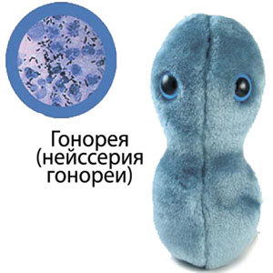 Giant Microbes   