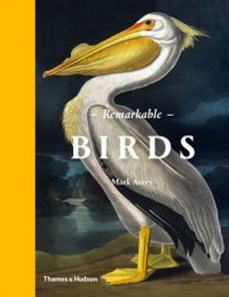 Avery M. Remarkable Birds 