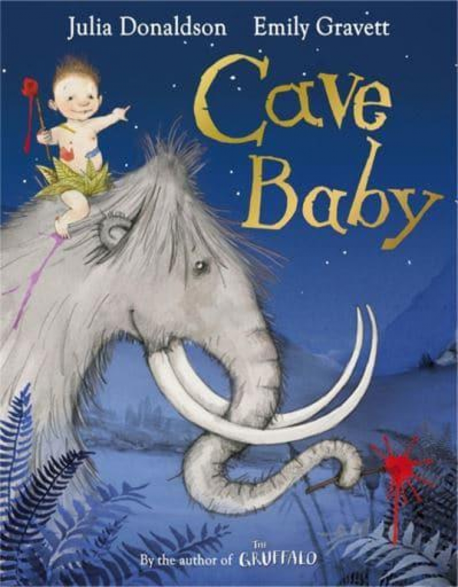 Julia Donaldson Cave Baby 