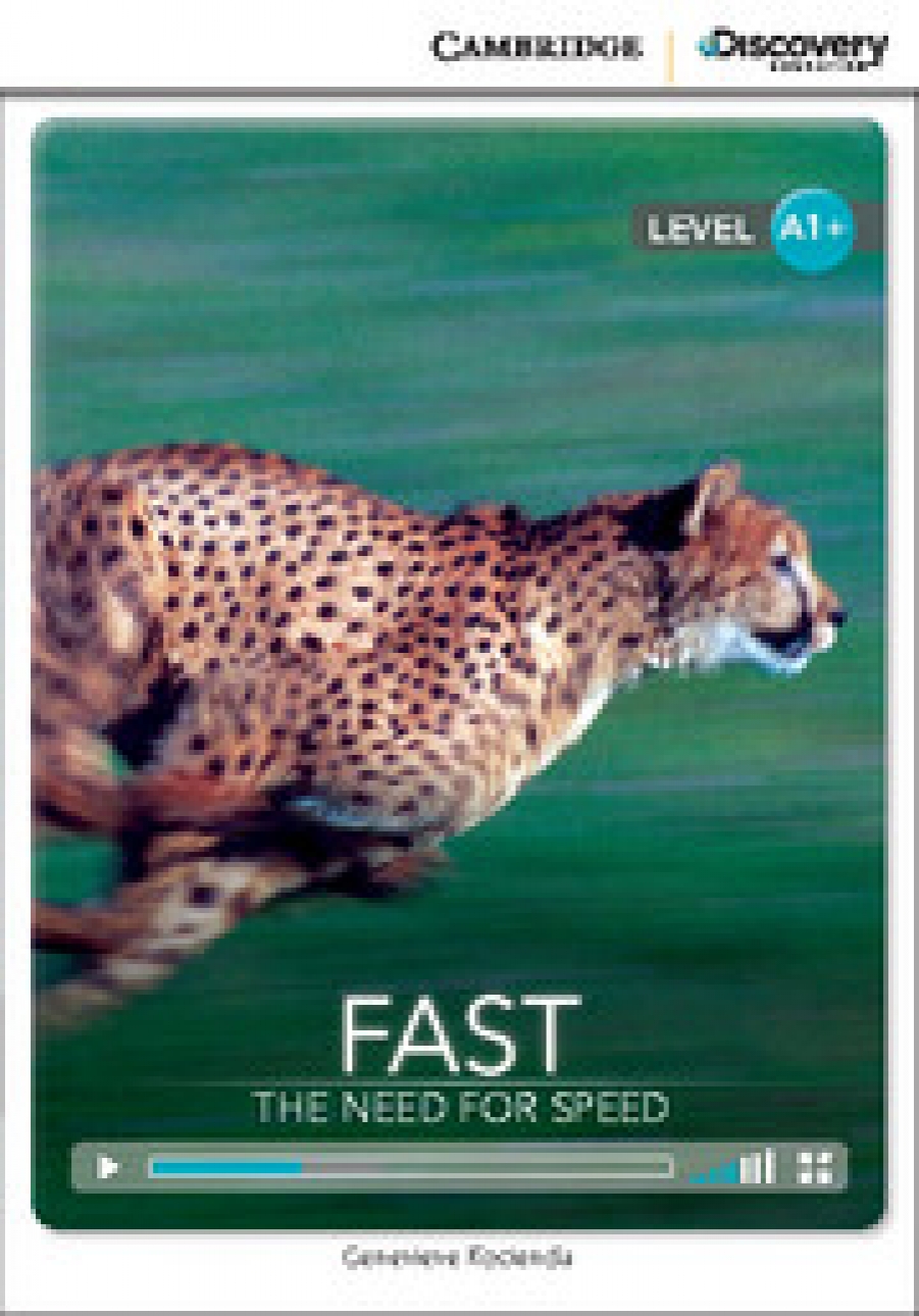 Kocienda Genevieve Fast: Need for Speed + Online Access 