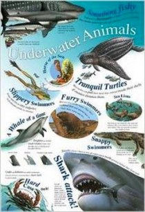 Underwater Animals.  