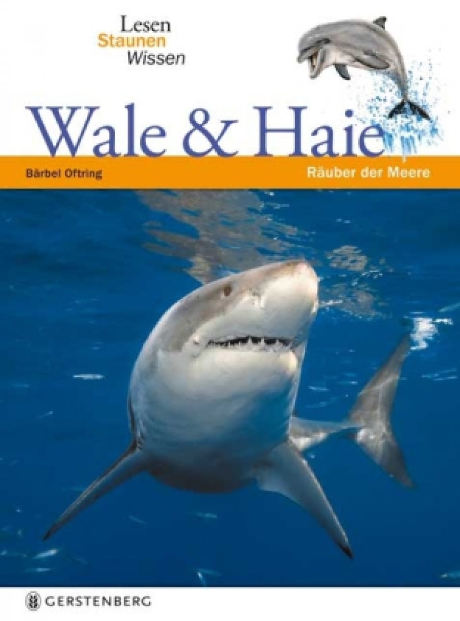Oftring Barbel Wale & Haie 