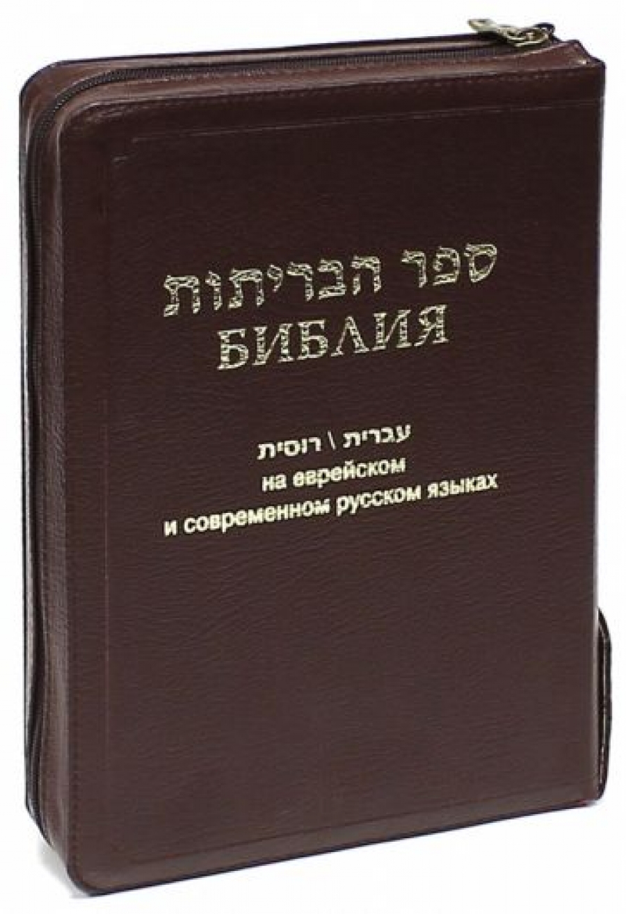 Библию Какого Издательства Лучше Купить