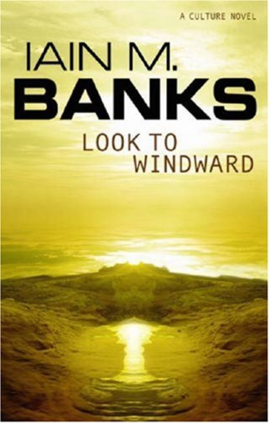 Iain M. Banks Look to Windward 