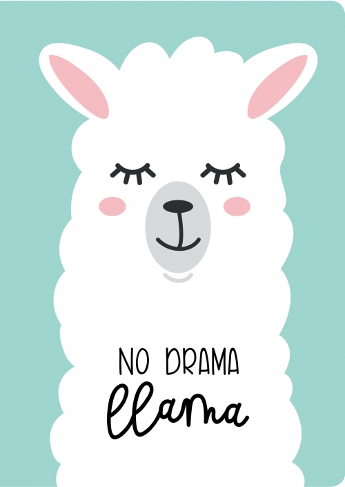 . . No drama ( 4,  ,  ,   ) 