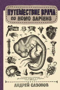  .    Homo Sapiens 