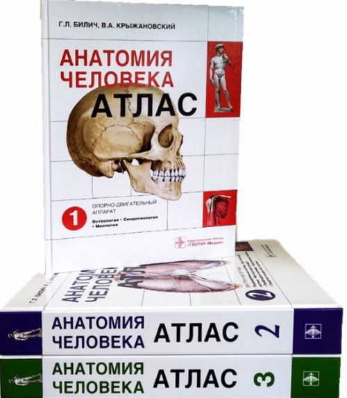 Анатомия Человека: Атлас. Учебное Пособие. В 3-Х Томах. - Билич Г.