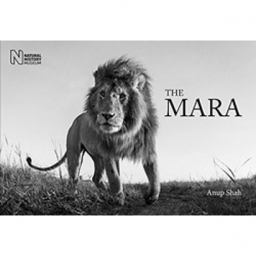 The Mara 