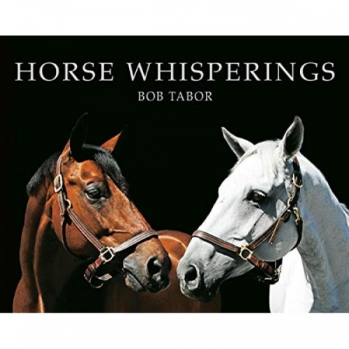 Horse Whisperings 