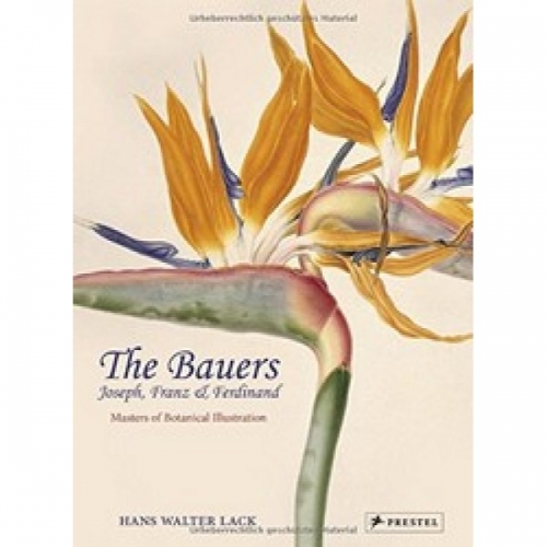 The Bauers: Masters of Botanical Illustration 