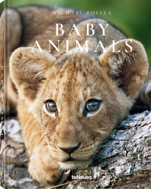 Michael Poliza: Baby Animals 
