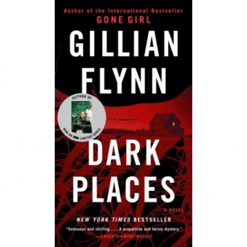 Flynn, G. Dark Places 