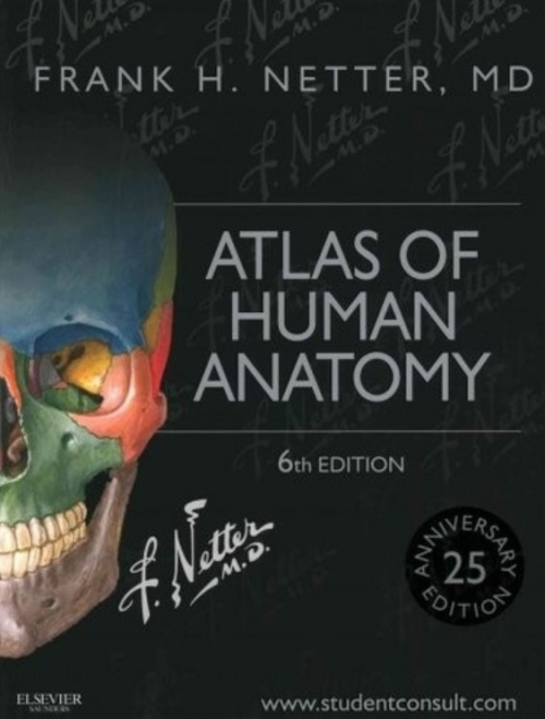 Неттер Ф., Netter Frank H. (Неттер Фрэнк) Netter Atlas of Human Anatomy.  Атлас анатомии Неттера. 
