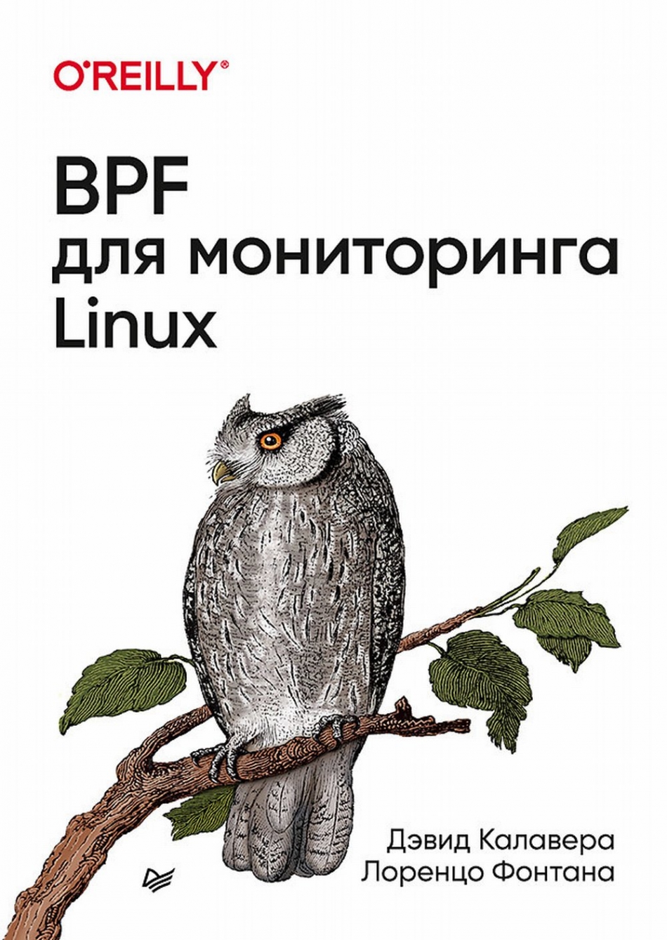 Калавера Д., Фонтана Л. BPF для мониторинга Linux 