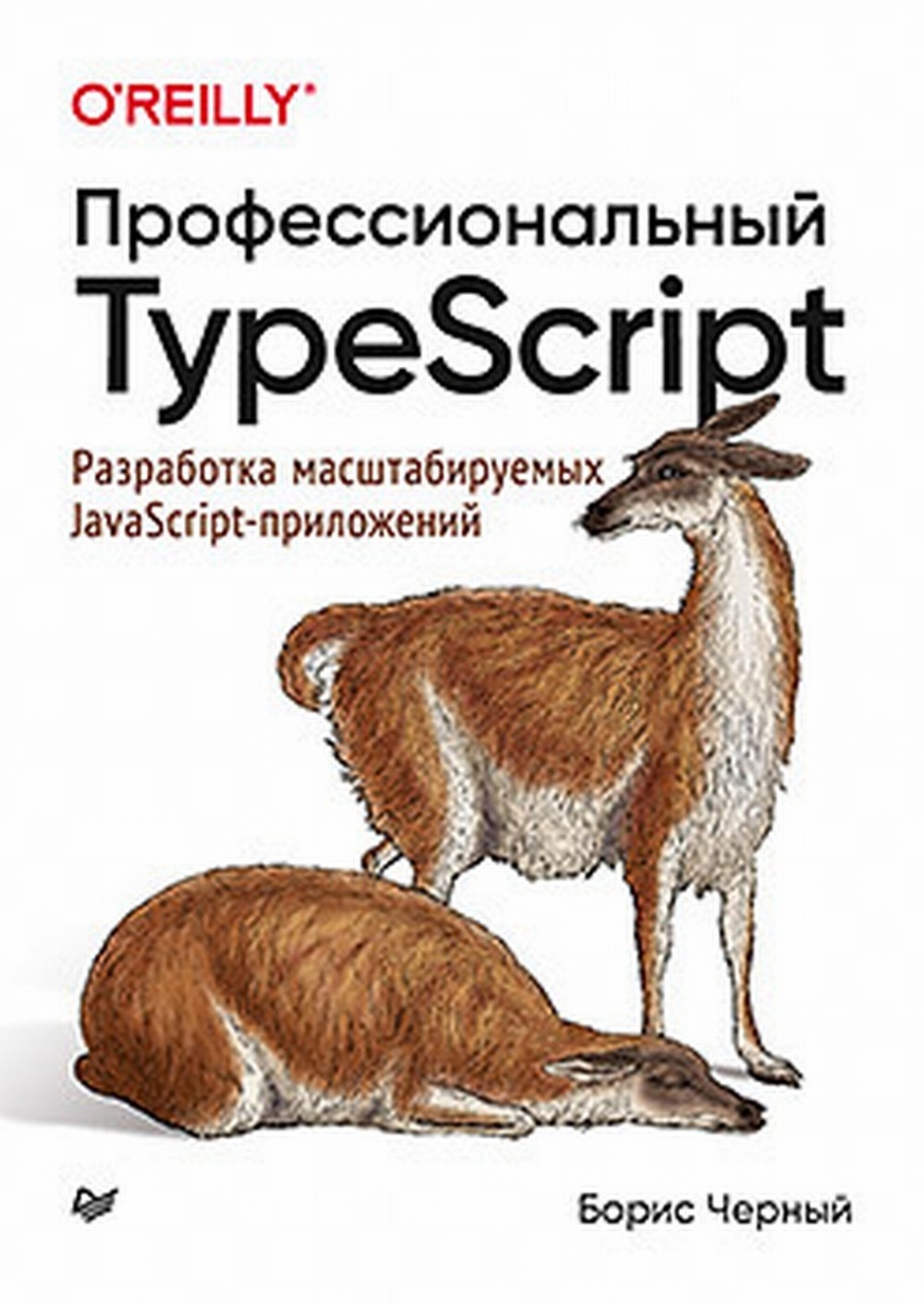 Черный  Б. Профессиональный TypeScript. Разработка масштабируемых JavaScript-приложений 
