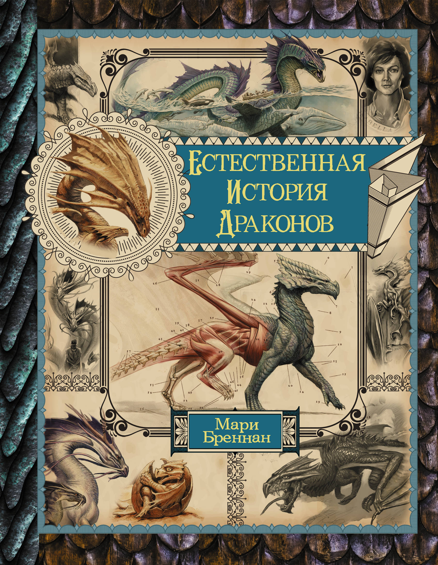 12 драконов книга. Естественная история драконов мемуары леди Трент. Мари Бреннан естественная история драконов. Бреннан Мари: естественная история драконов. Омнибус. Книга естественная история драконов Омнибус.