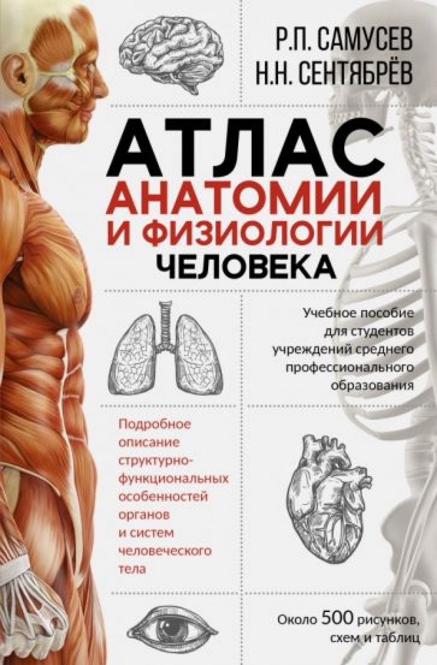Самусев Р.П., Сентябрев Н.Н. - Атлас анатомии и физиологии человека 