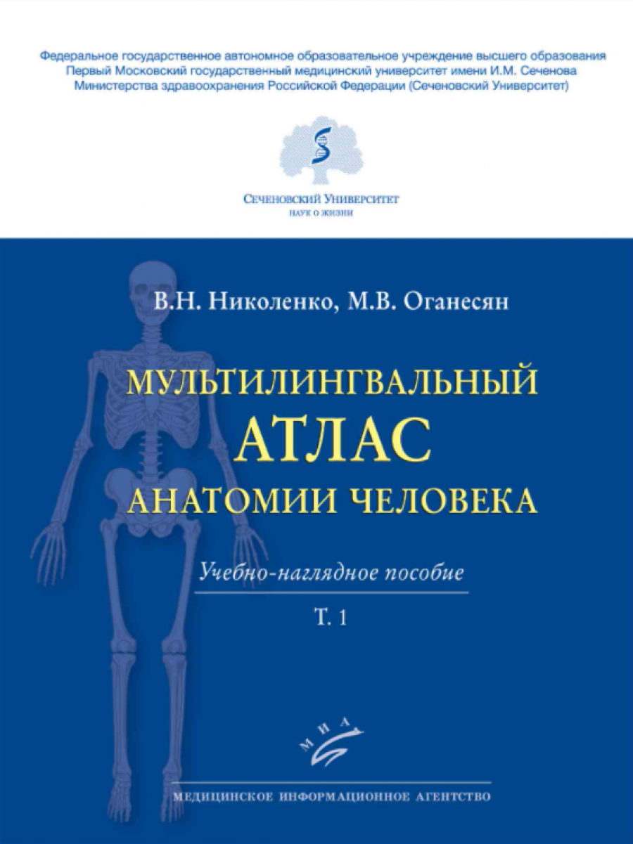 Николенко В.Н., Оганесян М.В. - Мультилингвальный атлас анатомии человека Т. 1
