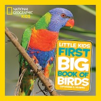 Hughes Catherine D. National Geographic Little Kids First Big Book of Birds 