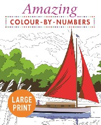 Arcturus Publishing Amazing Colour-by-Numbers Large Print 