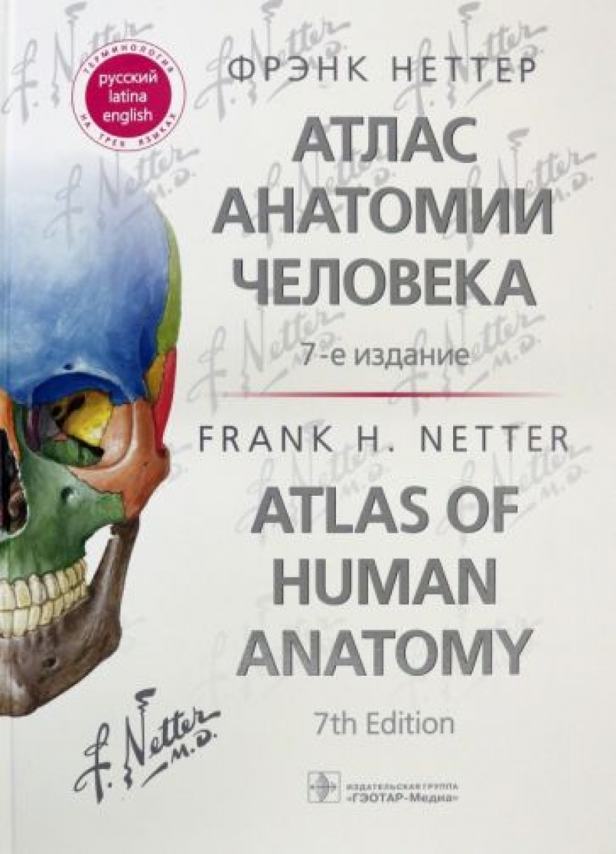 Фрэнк Неттер Атлас анатомии человека (издание 2022 года) 